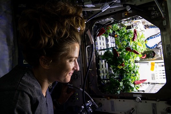 گیاه در فضا