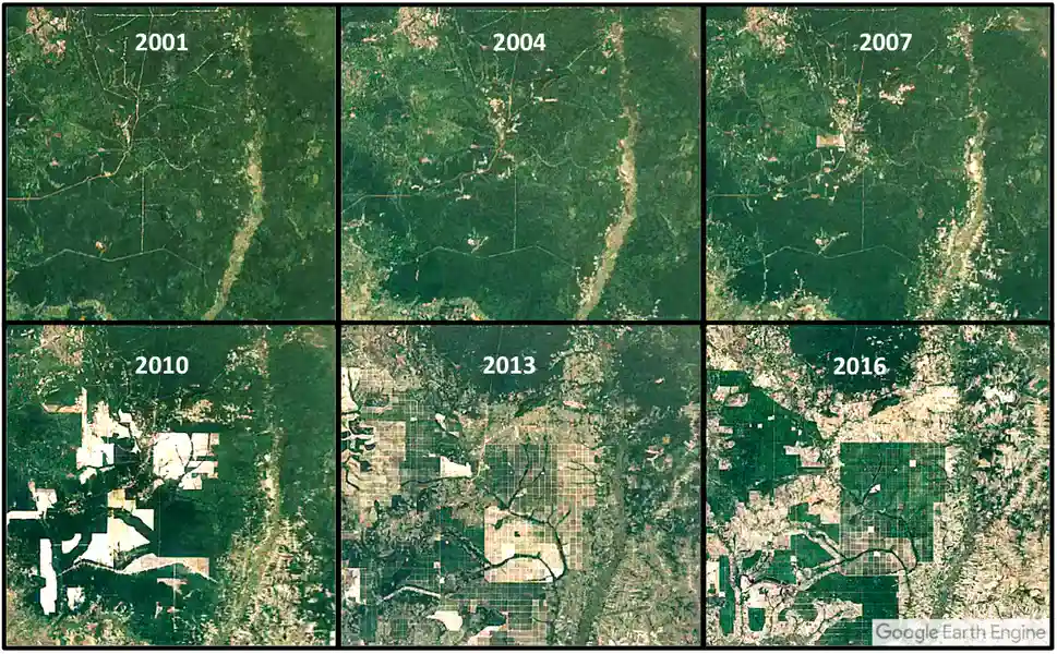 مقابله با جنگل‌زدایی کنیا و تانزانیا تصاویر ماهواره‌ای