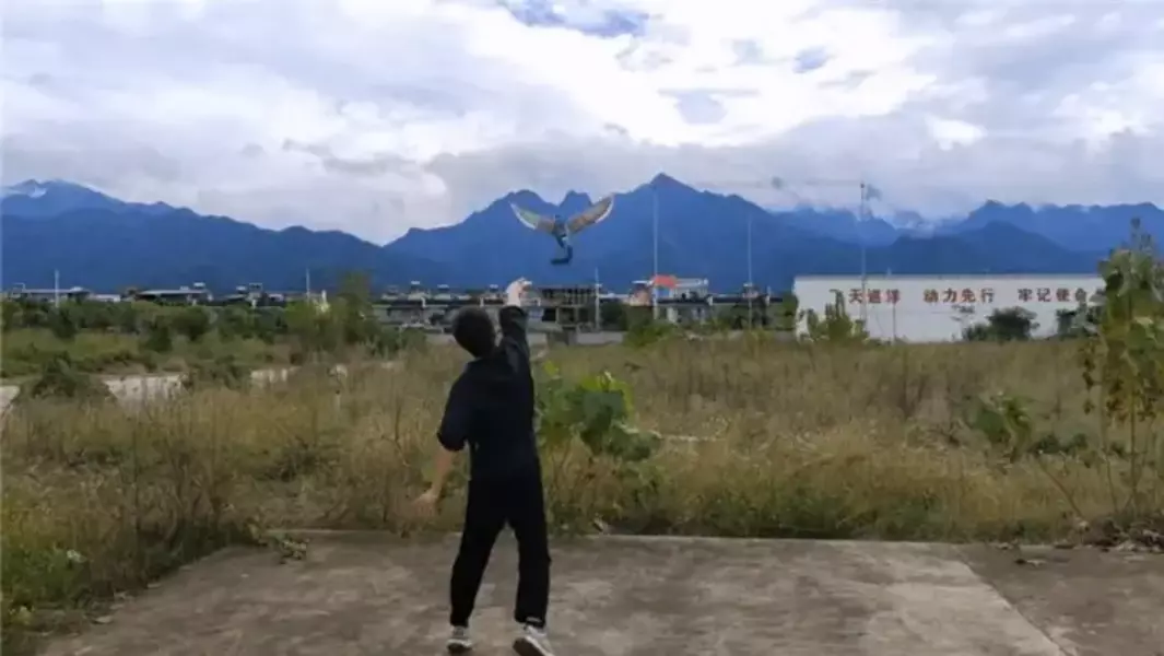 رکوردزنی یک پهپاد که از بال زدن پرندگان الهام می‌گیرد