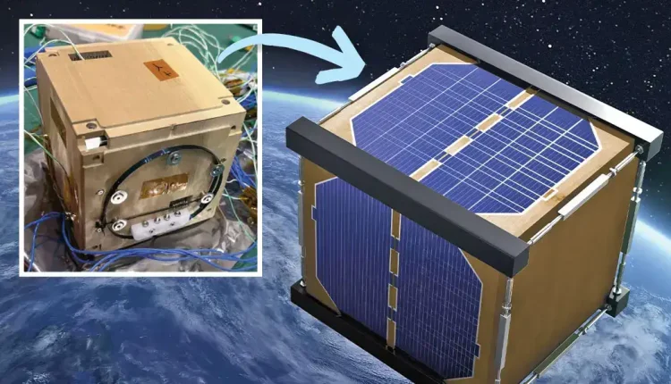 دانشمندان ژاپنی اولین ماهواره چوبی جهان را ساختند
