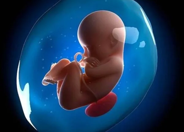 از بارداری تا تولد در فضا؛ فانتزی علمی یا فاجعه زیستی؟